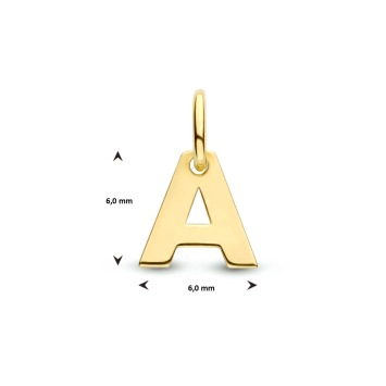Geelgouden hanger letter
