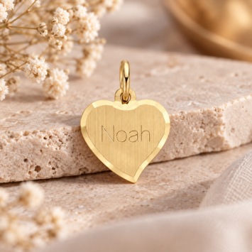 Gouden hanger hart 15mm